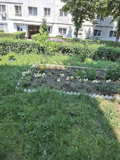 Garsonieră semidecomandată, mobilată în Mănăștur