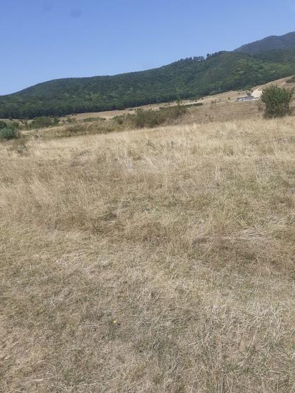Teren Codlea Brasov - 13