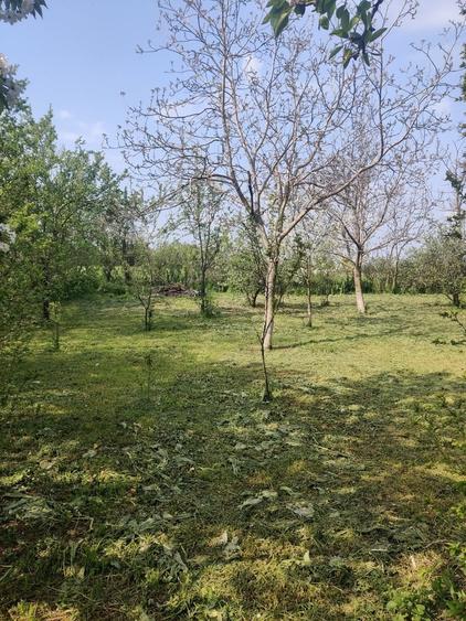Casă cu 4 camere cu Teren 1200 Mp în Central
