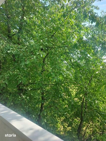 Apartament cu 3 camere decomandat, mobilat în Bună Ziua