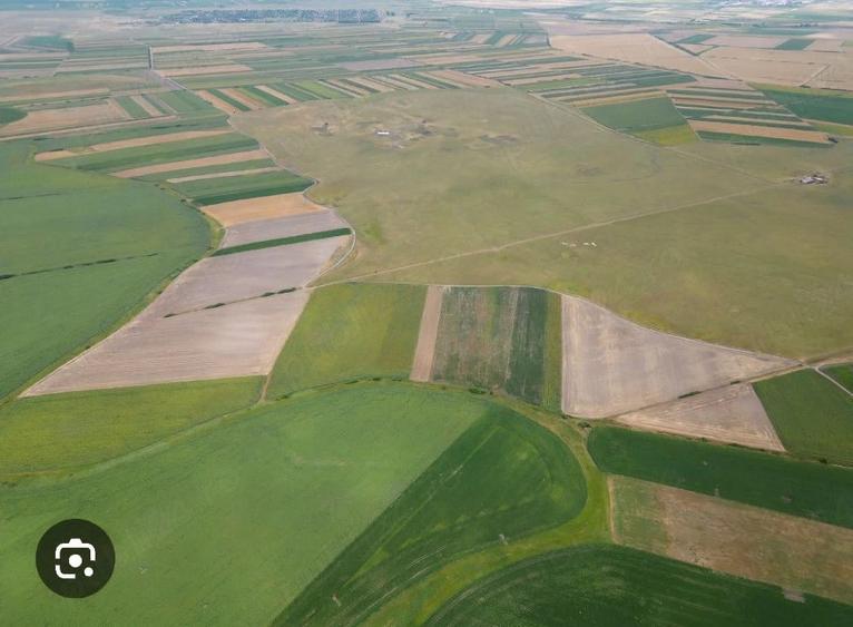 Teren de 30000 mp, în Gângiova