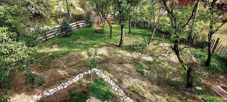Vand casa de vacanta in Valea Doftanei , teren, vila, Paltinu, natura - 5