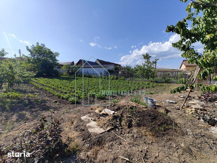 Casă cu 4 camere cu Teren 1277 Mp în Cut