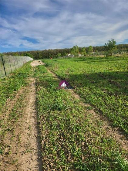 Teren intravilan de 5600 mp, în Ciofliceni