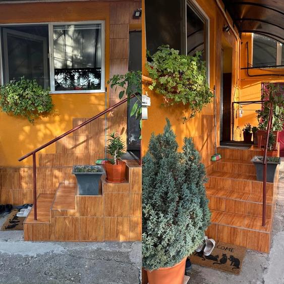 Casă cu Teren 120 Mp în Iosefin