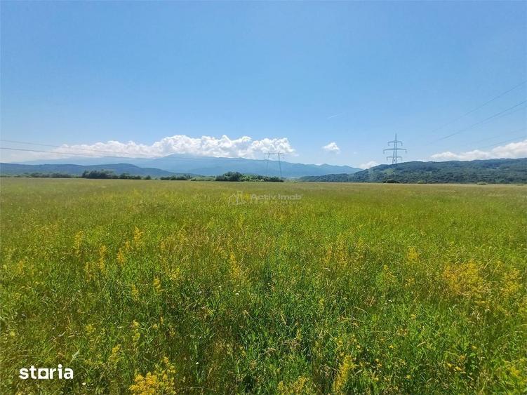 Teren de 2300 mp, în Central