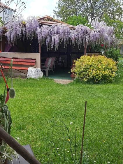 Casă individuală cu 5 camere cu Canalizare în Moinești
