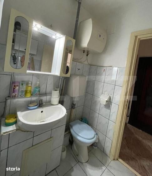 Garsonieră în Viișoara