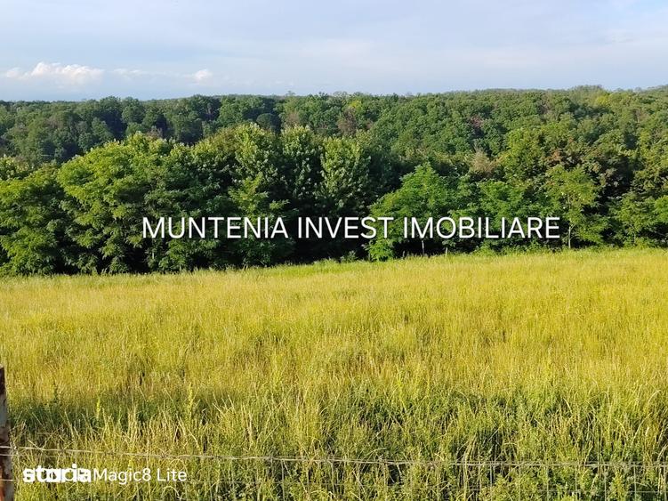 Teren de 935 mp, în Moșoaia