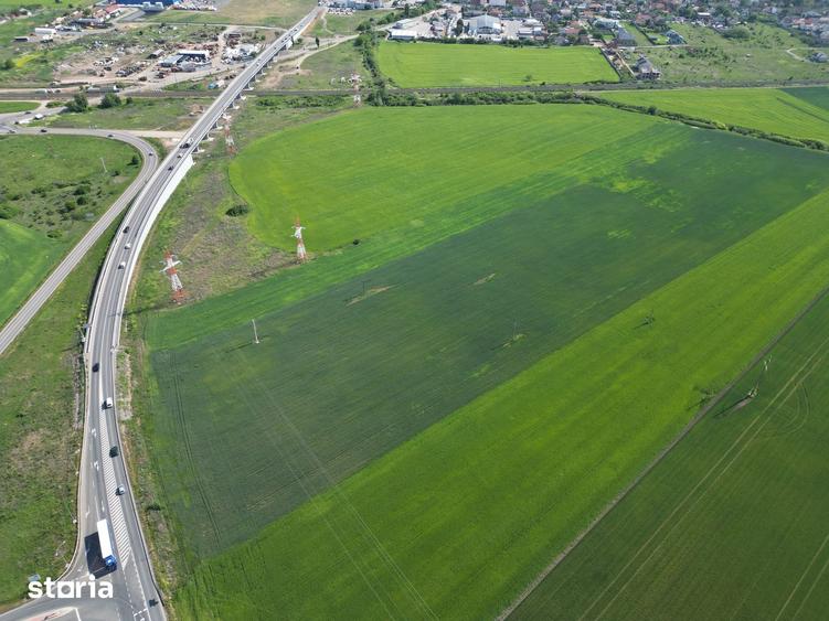 Teren de 28089 mp, în Micălaca