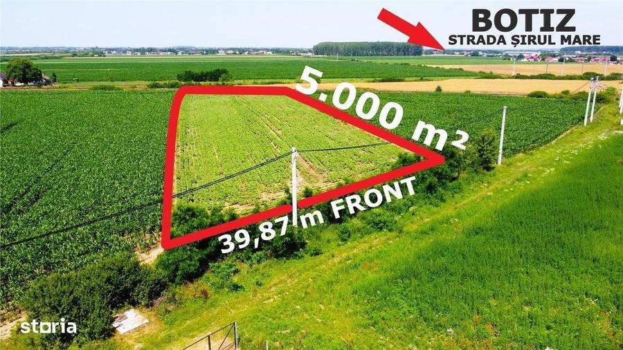 Teren extravilan - 5.000 m2 in Botiz | 3 km de Satu Mare - 1