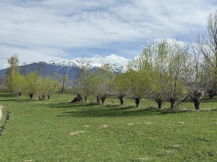 Teren de 500 mp, în Predeluț
