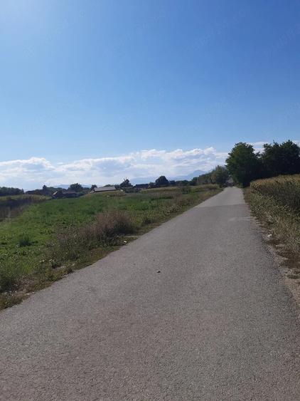 Teren de 20300 mp, în Ilieni