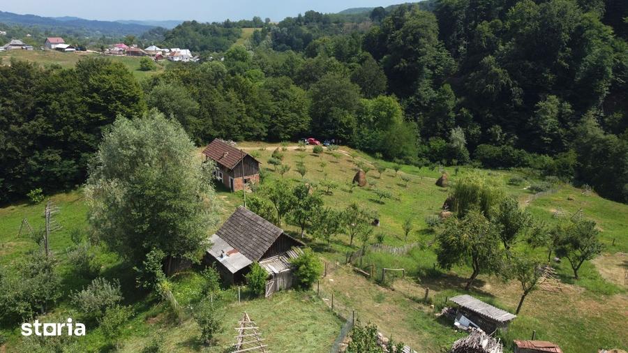 Teren de 6200 mp, în Cicănești