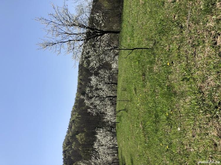 Teren de 9104 mp, în Brebu