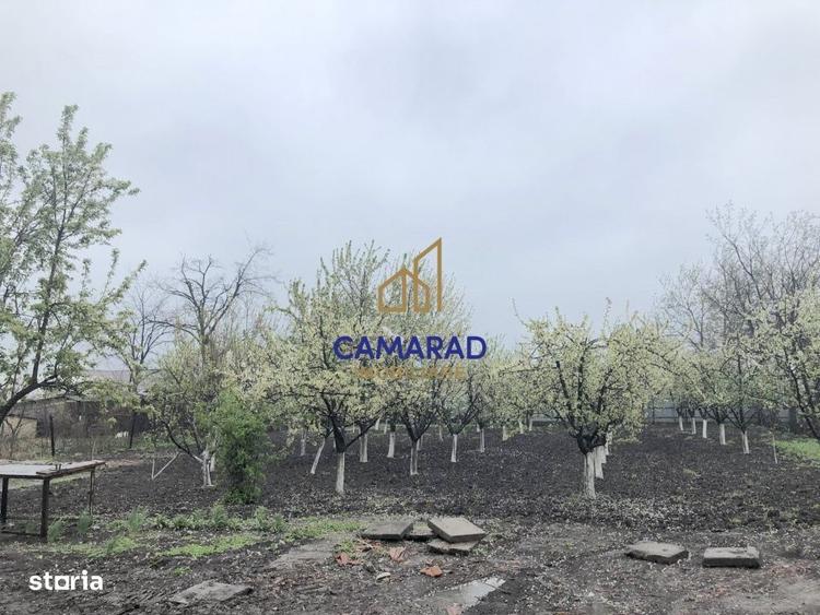 Casă cu 3 camere cu Teren 1450 Mp în Tămădău Mare