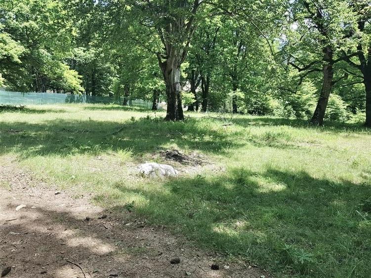 Teren Construcții intravilan de 4713 mp, în Poiana Brașov