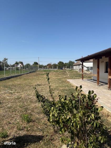 Casă cu 1 camere cu Teren 1460 Mp în Peciu Nou