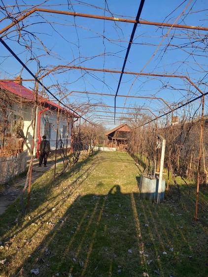 Casă cu Teren 1600 Mp în Colonești
