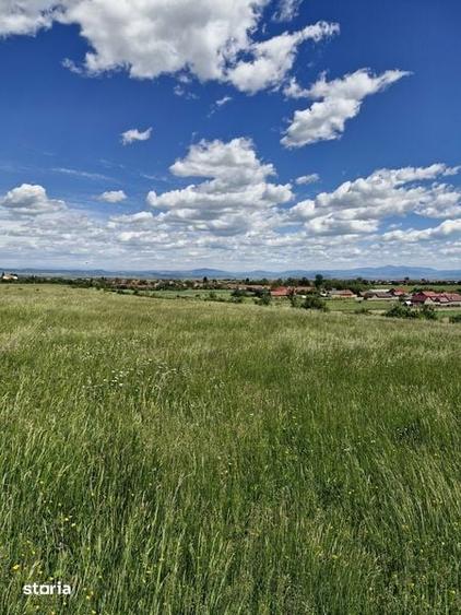 Teren de 14900 mp, în Crizbav