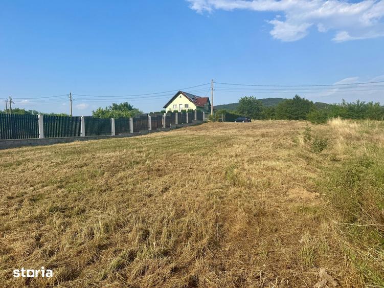 Teren de 1000 mp, în Central