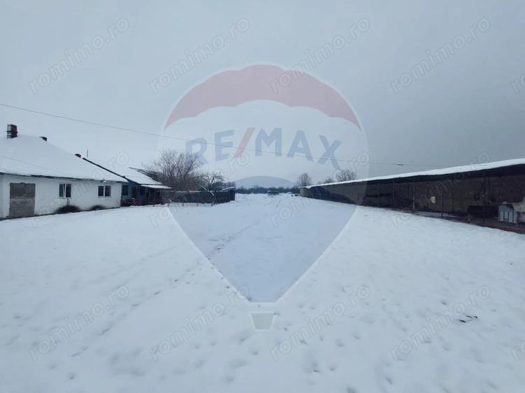 Casă cu 5 camere cu Teren 7531 Mp în Sacu