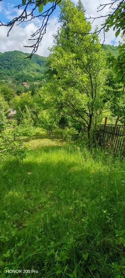 Teren de 800 mp, în Ibănești