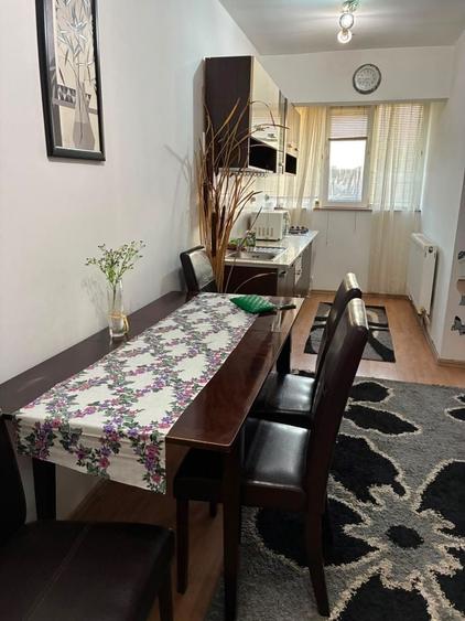 Apartament de inchiriat zona Nufarul 1500 lei - 6
