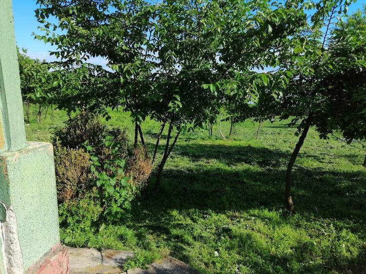 Casă cu 4 camere cu Teren 2300 Mp în Sud