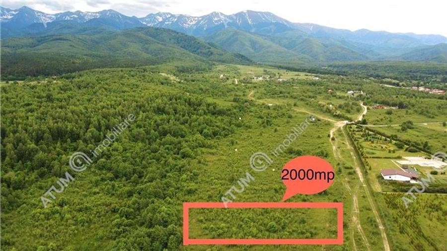 Teren extravilan de 2000 mp, în Porumbacu de Sus