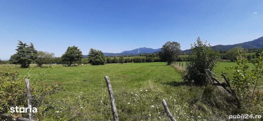 Teren de 9350 mp, în Bran