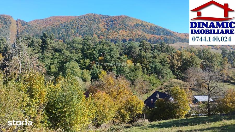 3600 mp teren intravilan, sat Bistrita, 14 Euro/mp