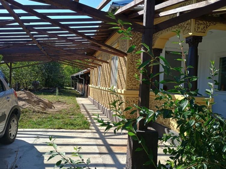 Casă individuală cu 5 camere cu Teren 9000 Mp în Icoana