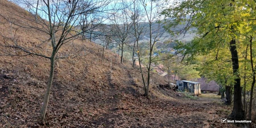 Casă individuală cu 2 camere cu Canalizare în Căpușu Mare