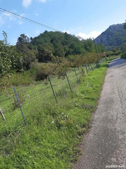 Teren de 7000 mp, în Voia