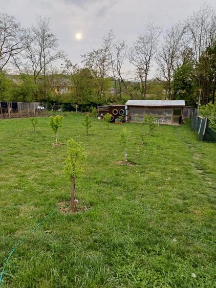 Casă individuală cu 5 camere cu Garaj în Ivănești