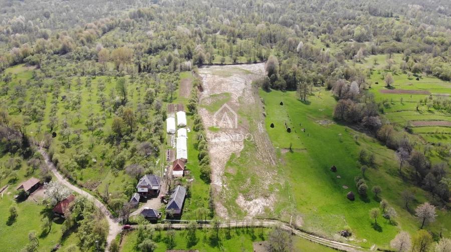 Teren Construcții extravilan de 19356 mp, în Breb
