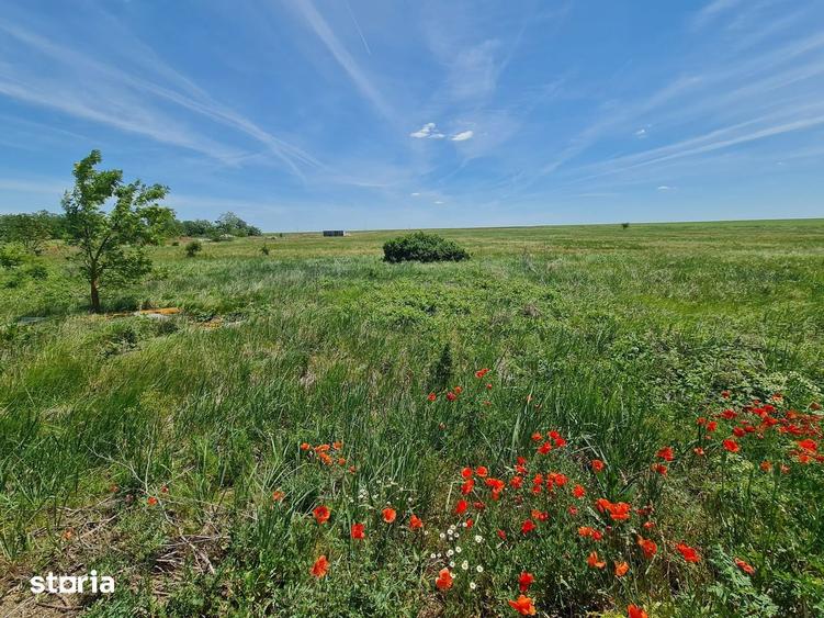 Spațiu comercial, de 40,000 mp, în Șagu
