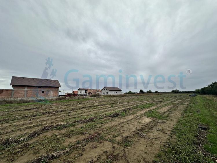 Teren Construcții intravilan de 11000 mp, în Biharia