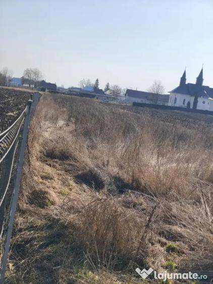 Teren de 3014 mp, în Frătăuții Vechi
