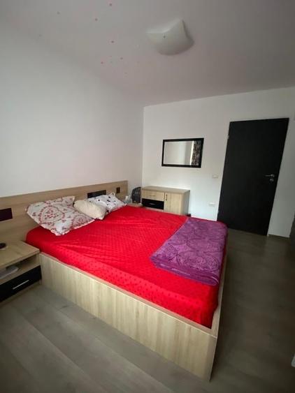 Inchiriere Apartament 4 camere Gorjului-Lujerului - 12