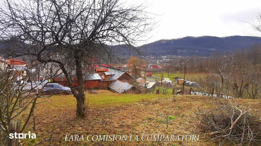 Teren de 350 mp, în Vlădești