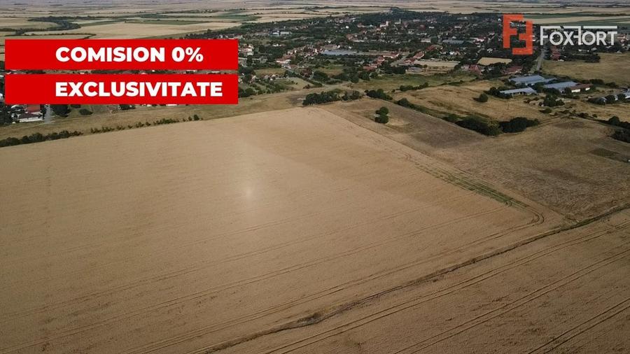 Teren Construcții intravilan de 24700 mp, în Pădureni (Jebel)