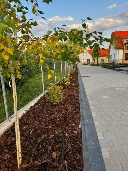 Casă individuală cu 5 camere cu Teren 532 Mp în Gheorghieni