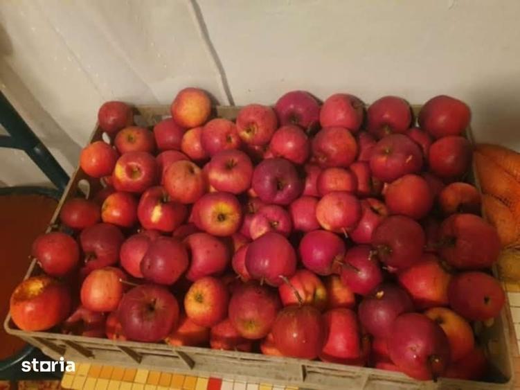 Teren de 20000 mp, în Valea