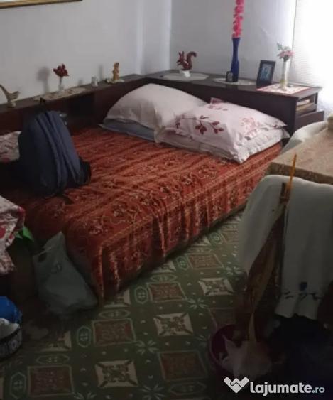 Casa cu 3 camere, mobilata, in comuna Saliste | Teren genero - 6