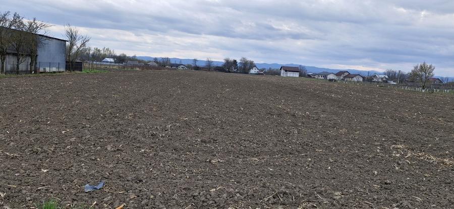 Teren de 2500 mp, în Vadu Moldovei