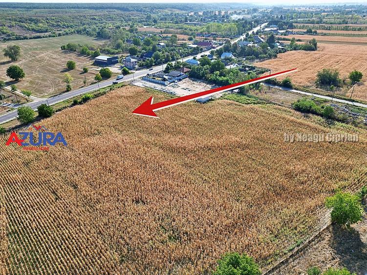 Teren Construcții intravilan de 7976 mp, în Crângurile
