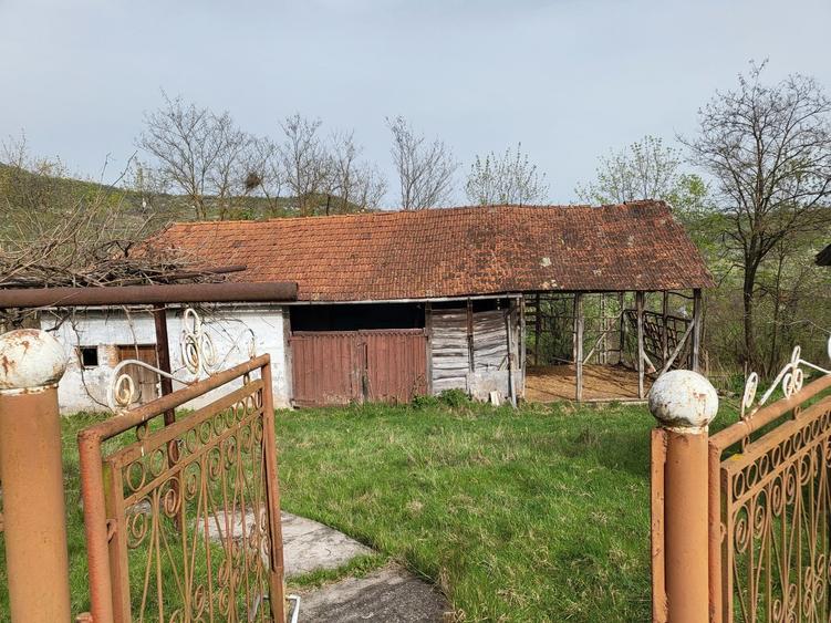 Casă cu 3 camere în Toplița