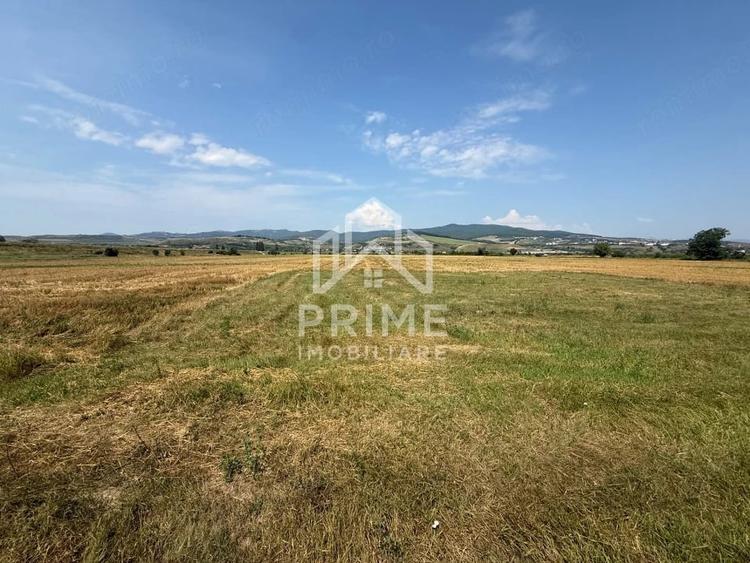 Teren de 780 mp, în Partoș
